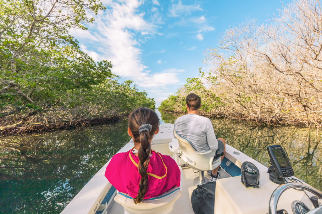 Tour en bote Everglades