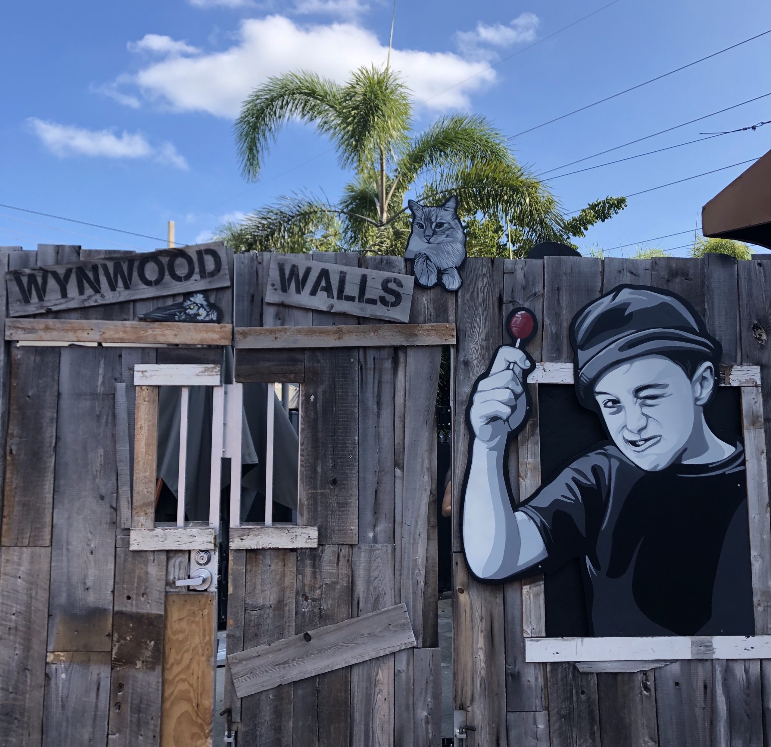 Experiencia de Wynwood Graffiti